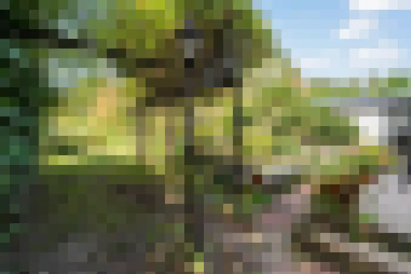 Duinweg 100 Noordwijk thumbnail 18
