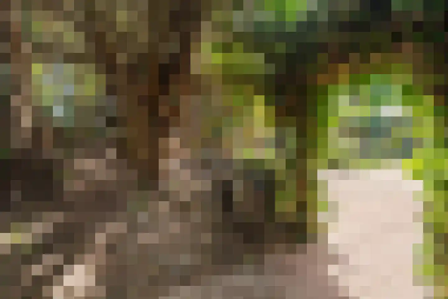 Duinweg 100 Noordwijk thumbnail 34