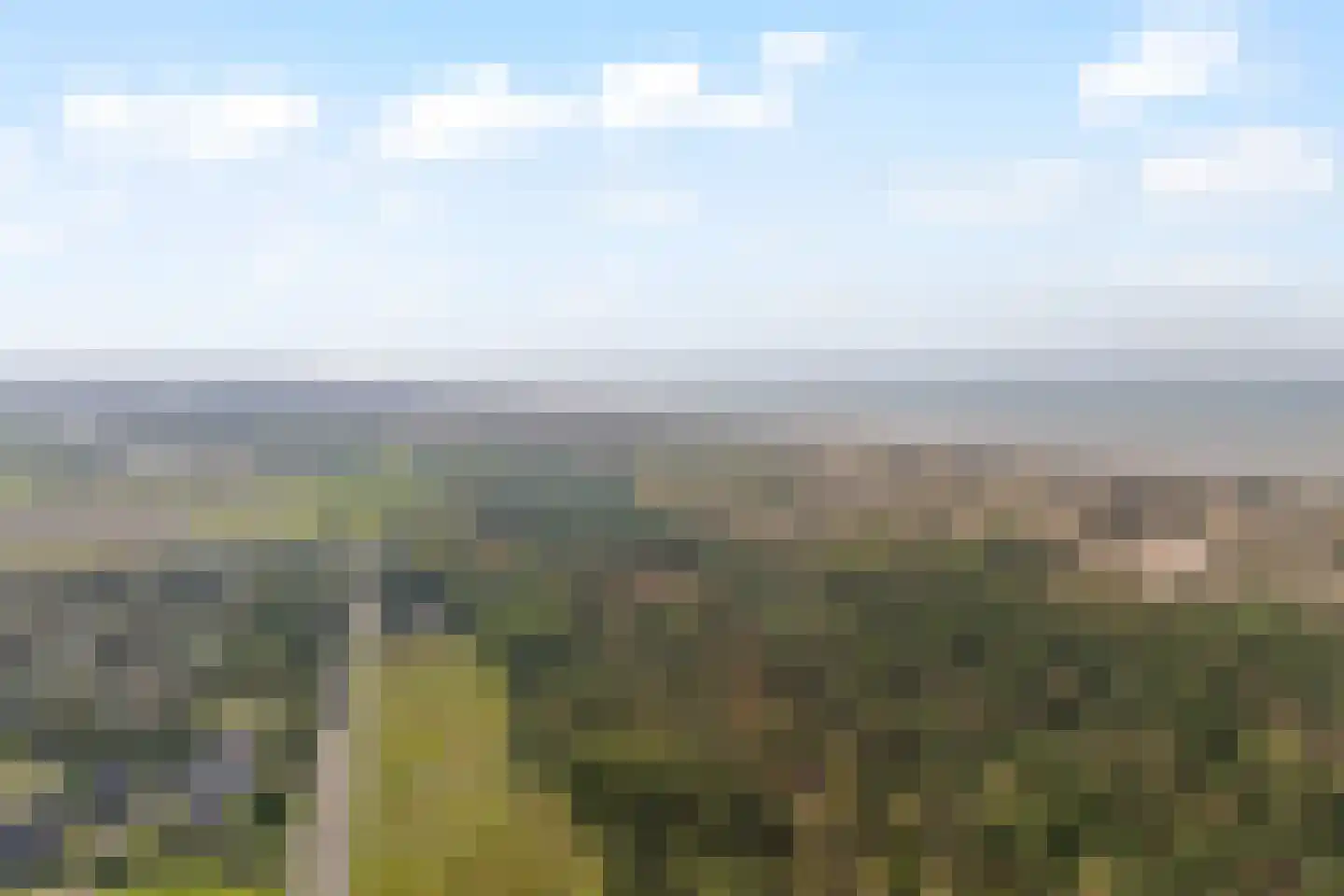 Duinweg 100 Noordwijk thumbnail 40