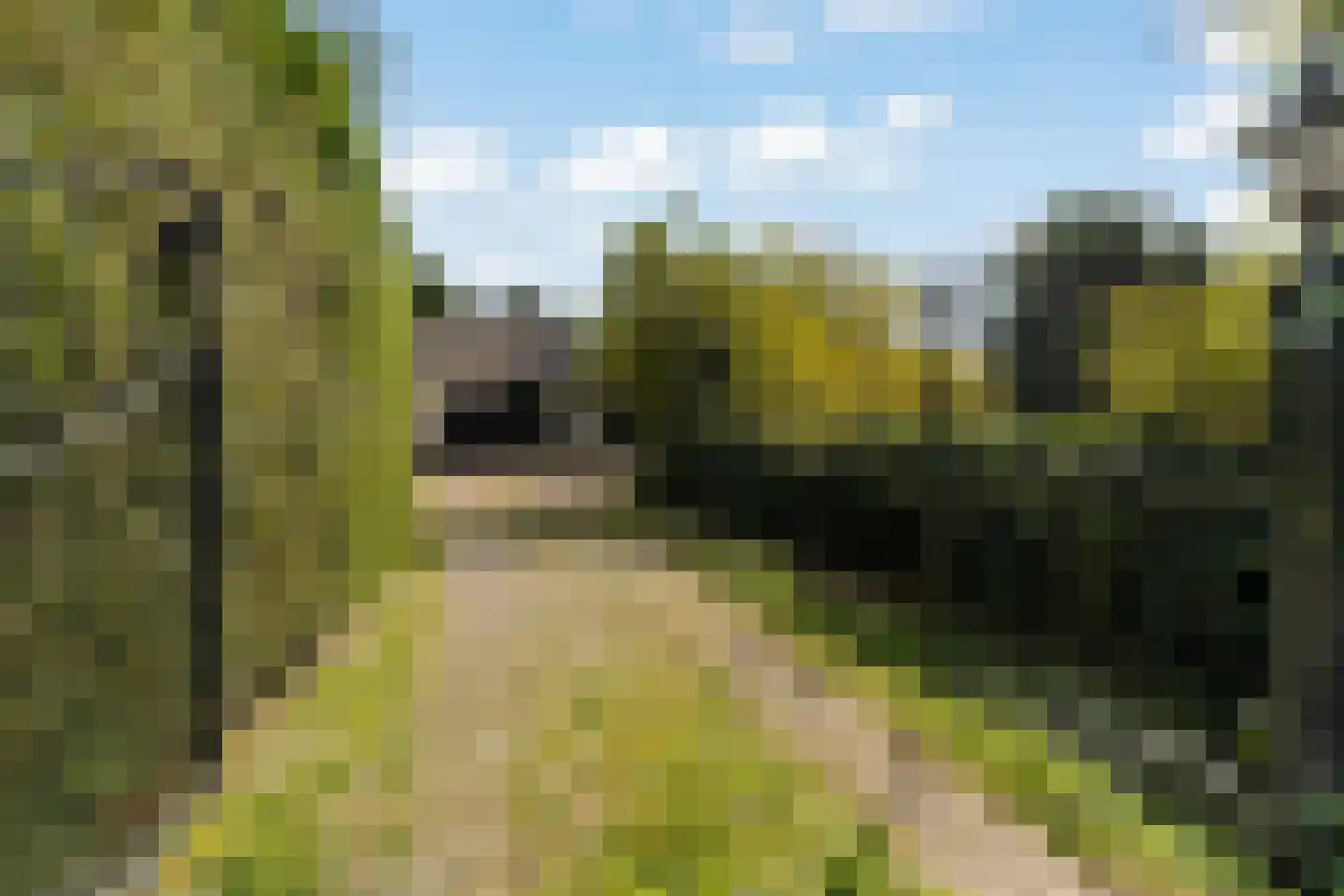 Duinweg 100 Noordwijk thumbnail 5