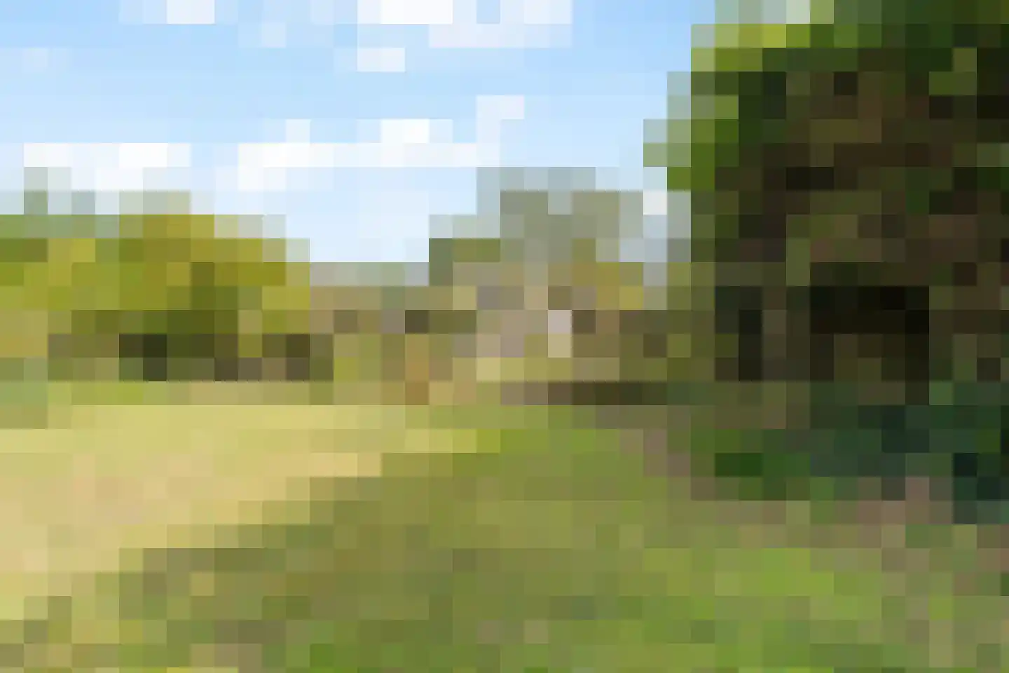 Duinweg 100 Noordwijk thumbnail 6