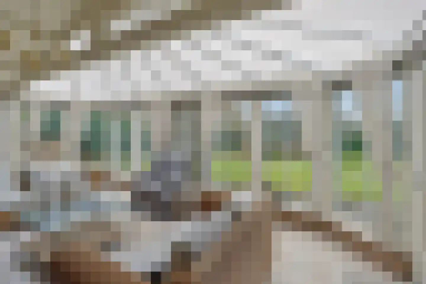 Duinweg 101 Oostkapelle thumbnail 12