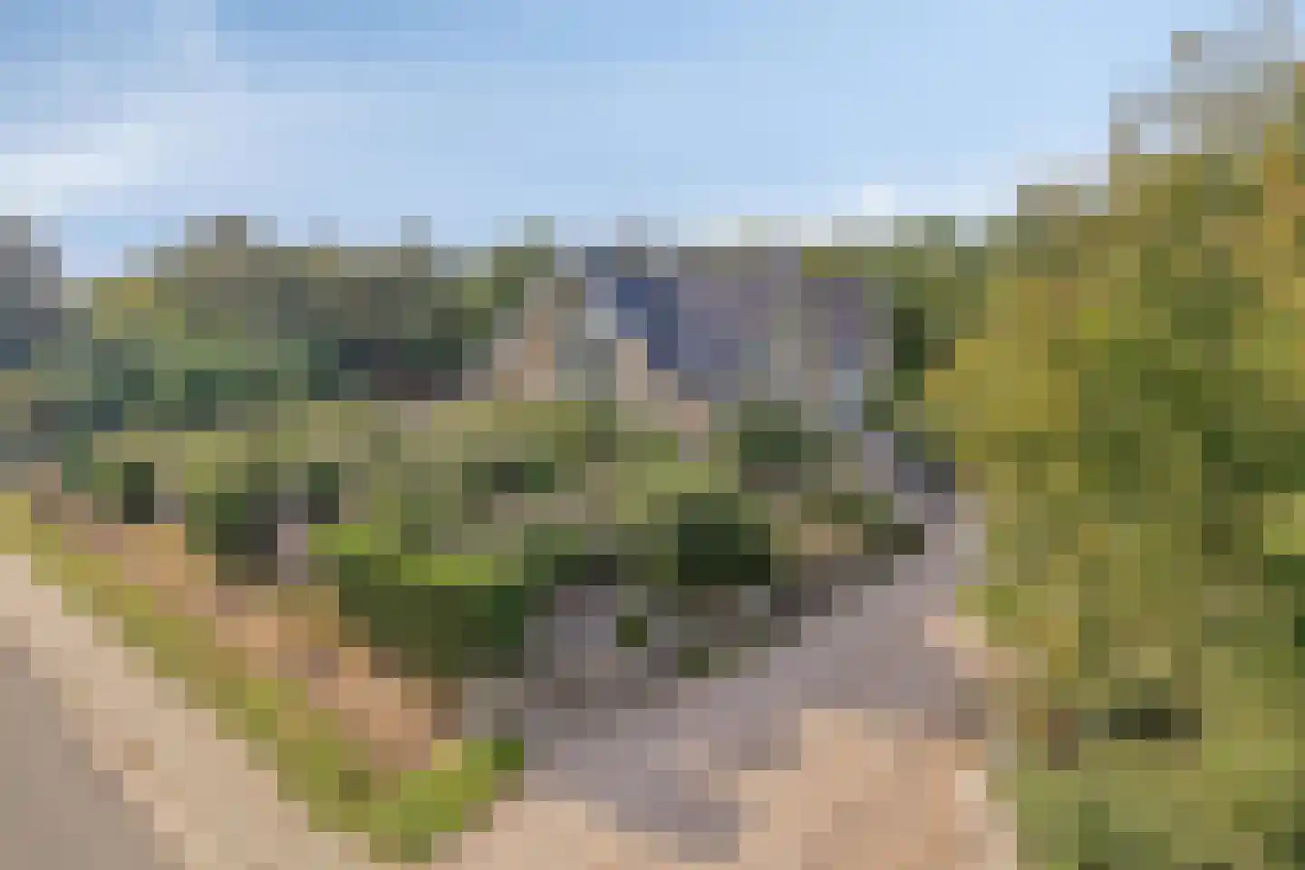 Duinweg 107 Noordwijk thumbnail 5