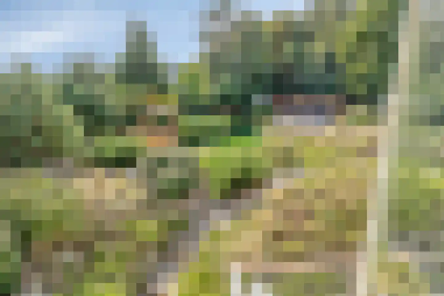 Duinweg 107 Noordwijk thumbnail 52