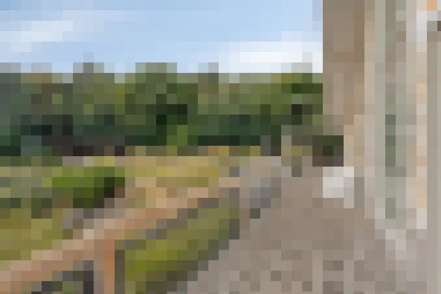 Duinweg 107 Noordwijk thumbnail 53