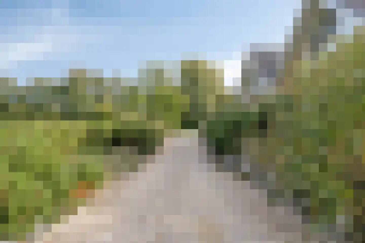 Duinweg 107 Noordwijk thumbnail 77