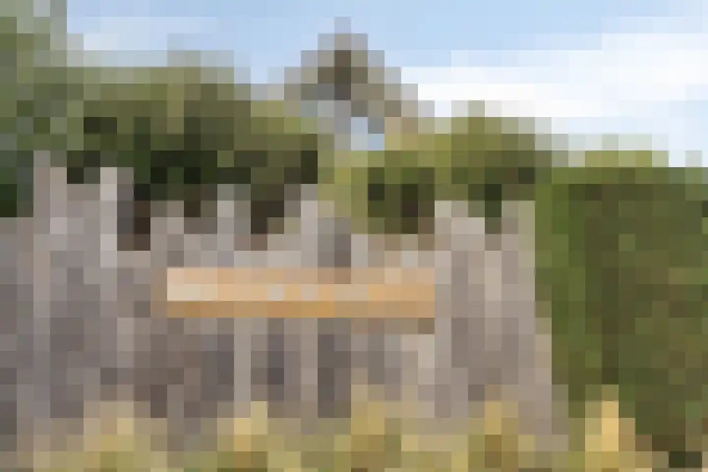 Duinweg 107 Noordwijk thumbnail 83
