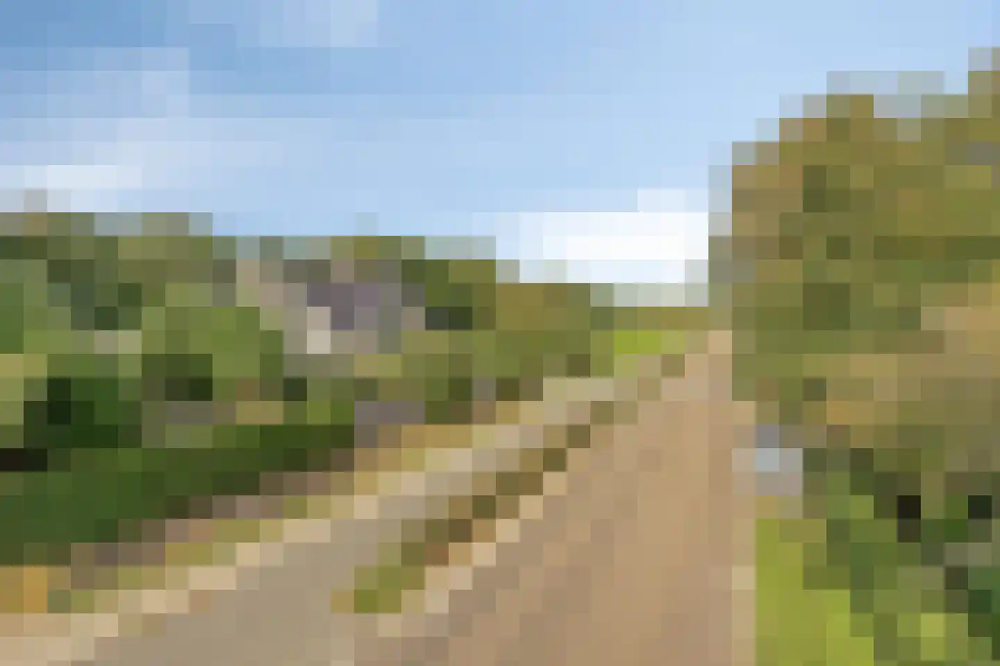Duinweg 107 Noordwijk thumbnail 85