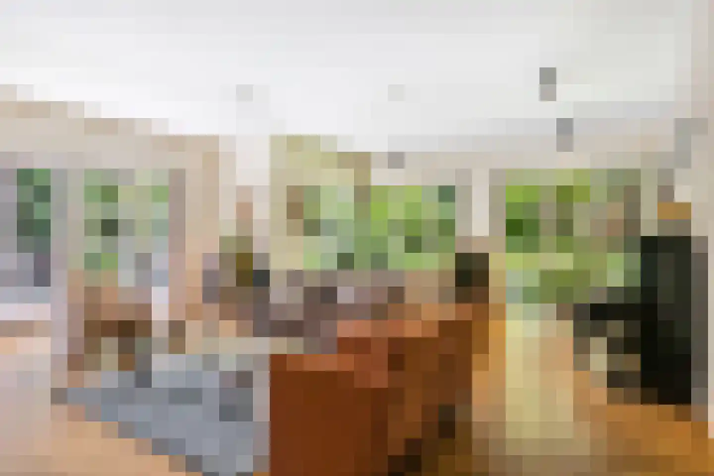 Duinweg 11 Bosch en Duin thumbnail 21