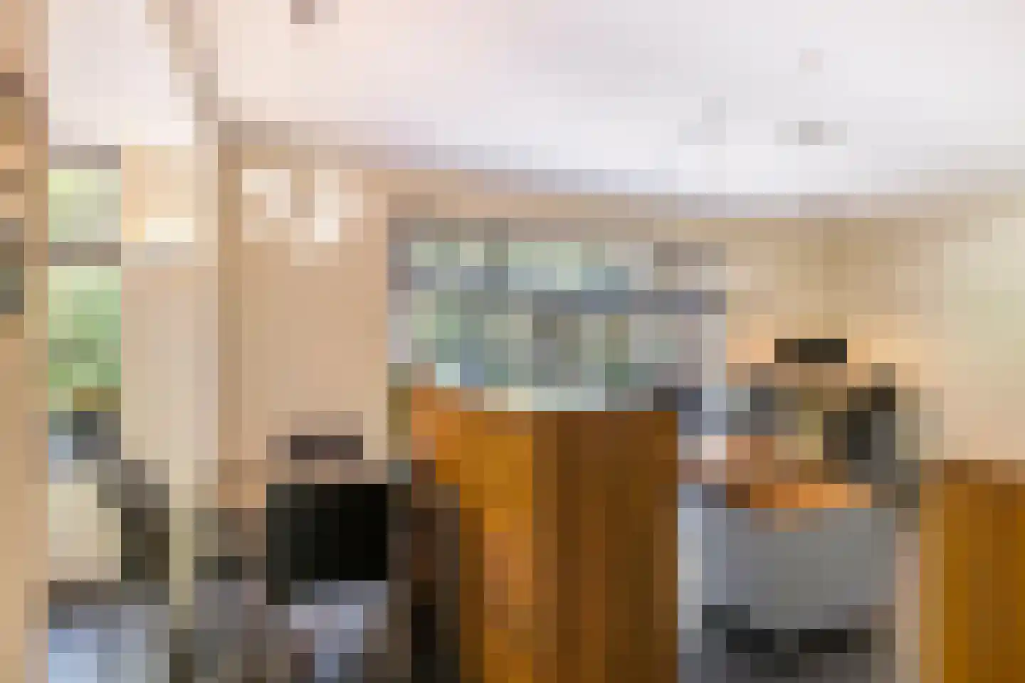 Duinweg 11 Bosch en Duin thumbnail 28