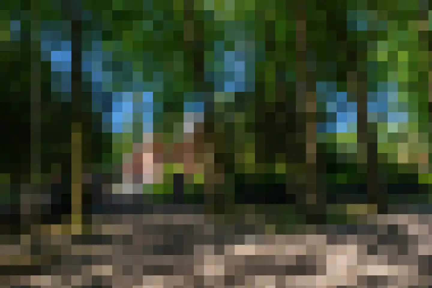 Duinweg 11 Bosch en Duin thumbnail 4