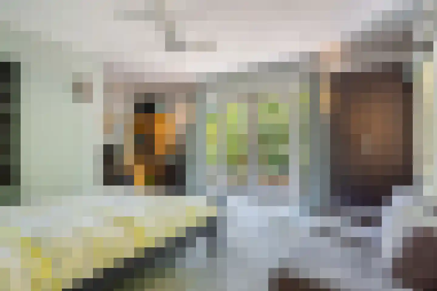 Duinweg 11 Bosch en Duin thumbnail 51