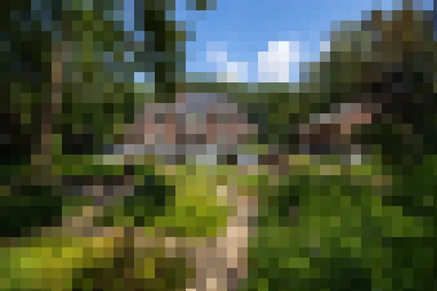 Duinweg 11 Bosch en Duin thumbnail 54