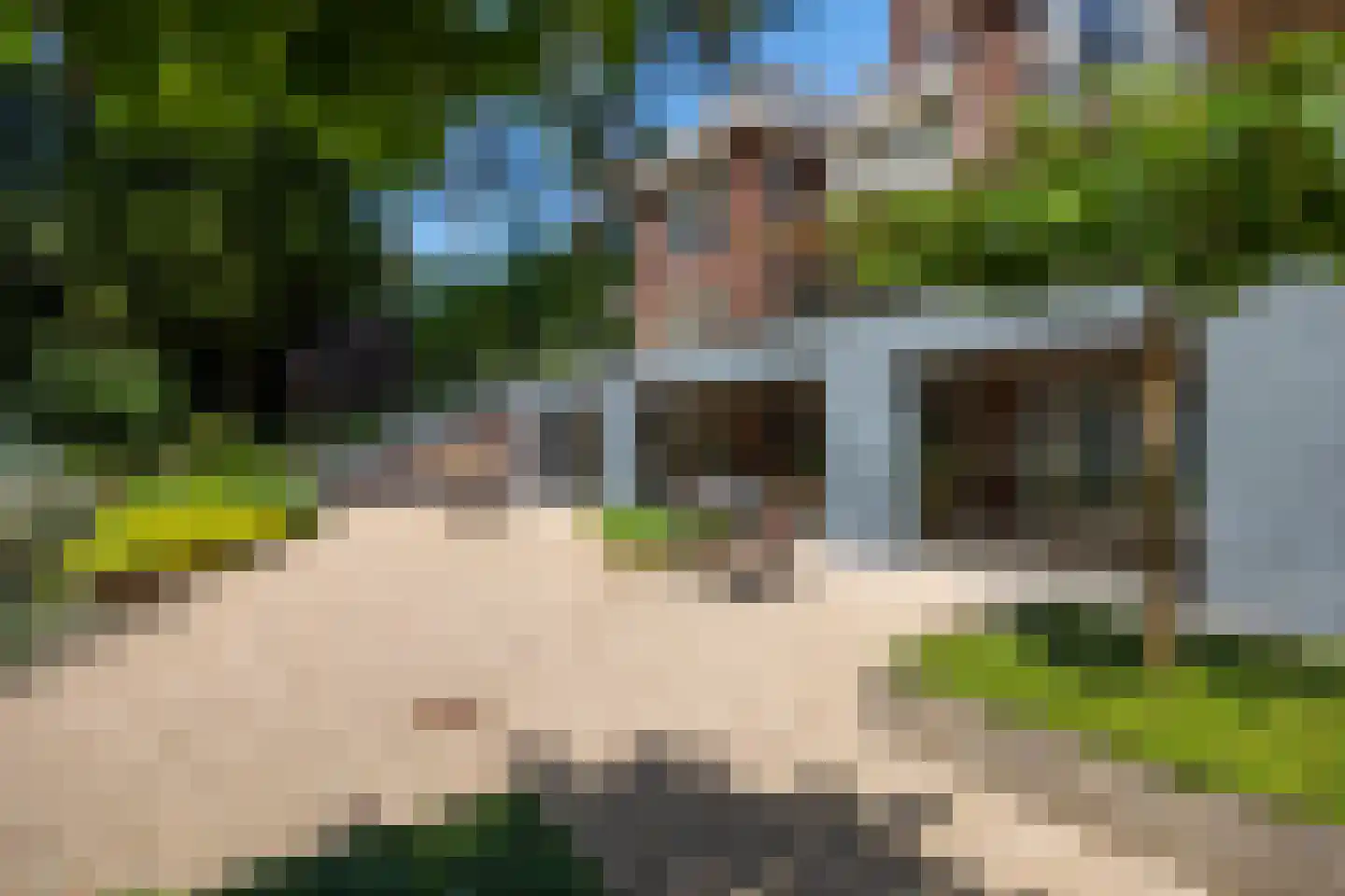 Duinweg 11 Bosch en Duin thumbnail 55