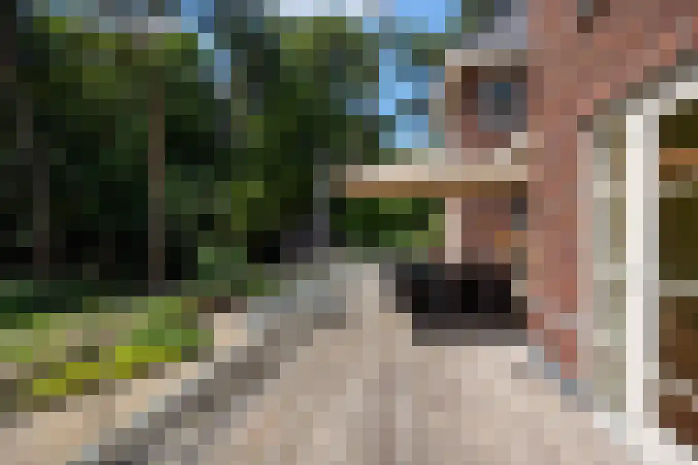 Duinweg 11 Bosch en Duin thumbnail 56