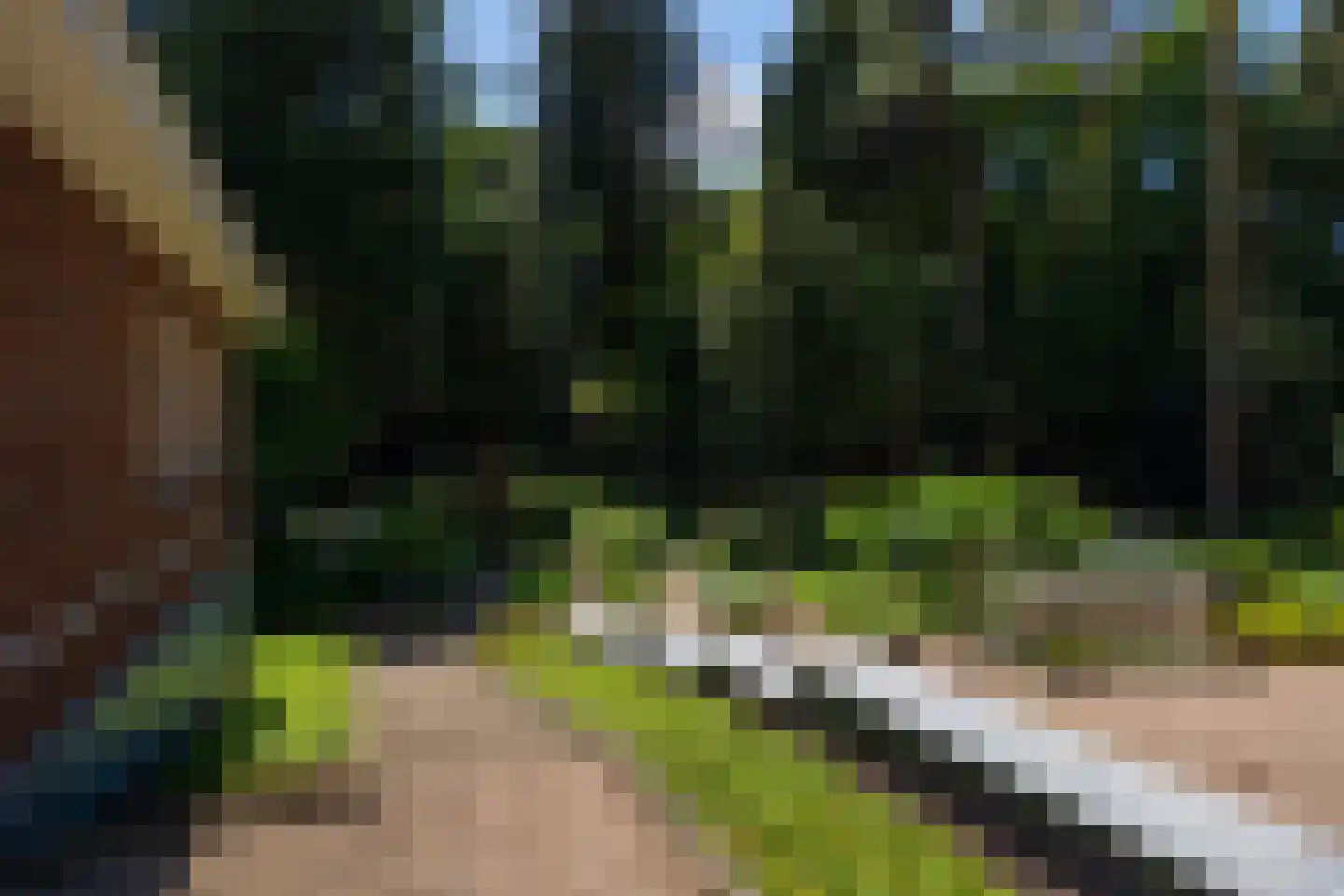 Duinweg 11 Bosch en Duin thumbnail 57