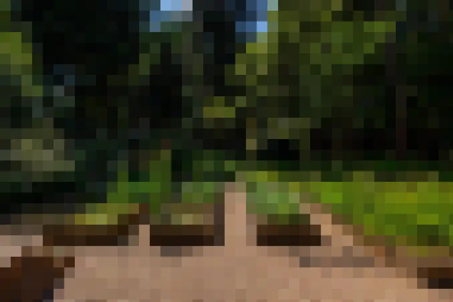 Duinweg 11 Bosch en Duin thumbnail 58