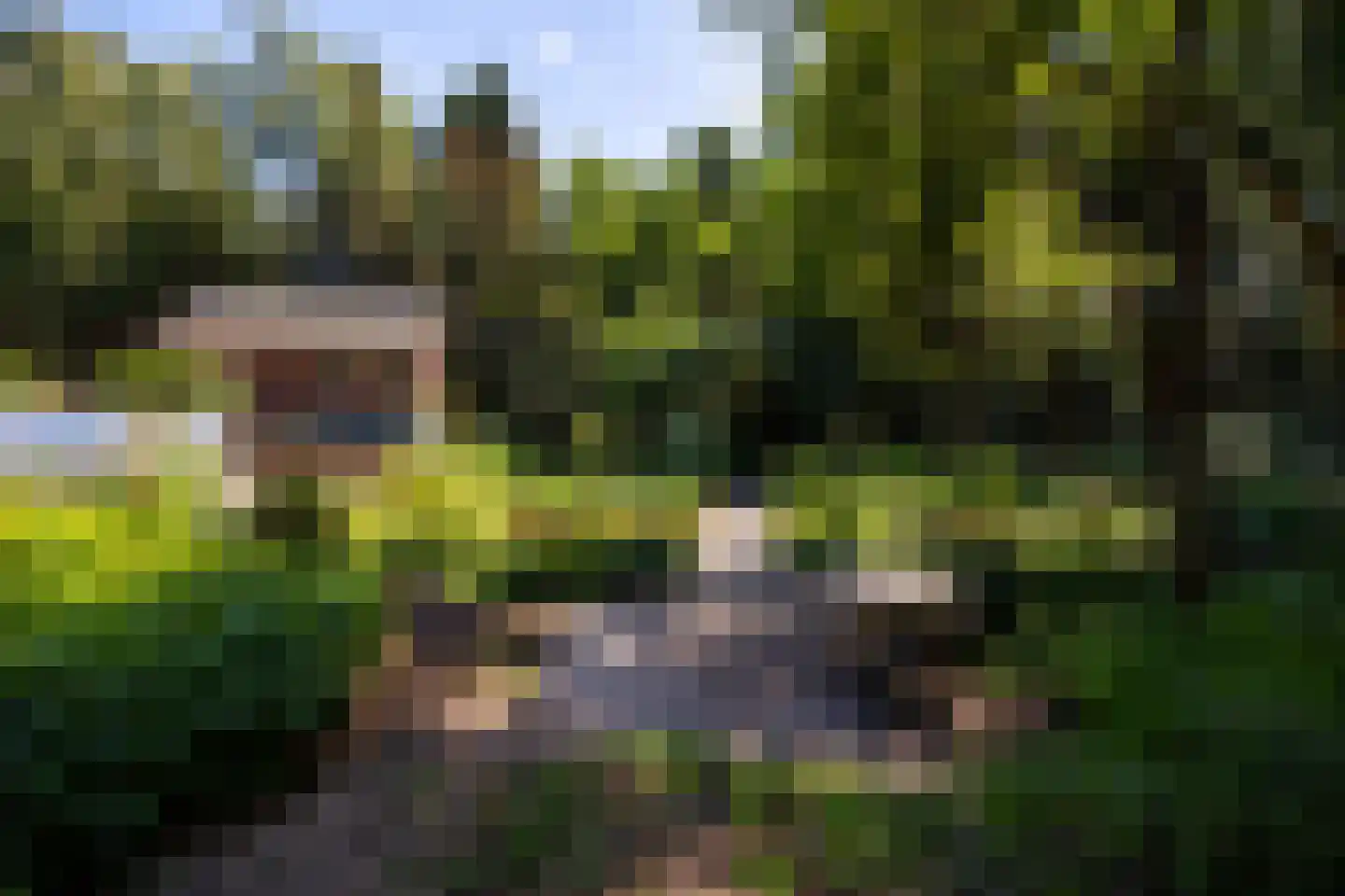 Duinweg 11 Bosch en Duin thumbnail 59