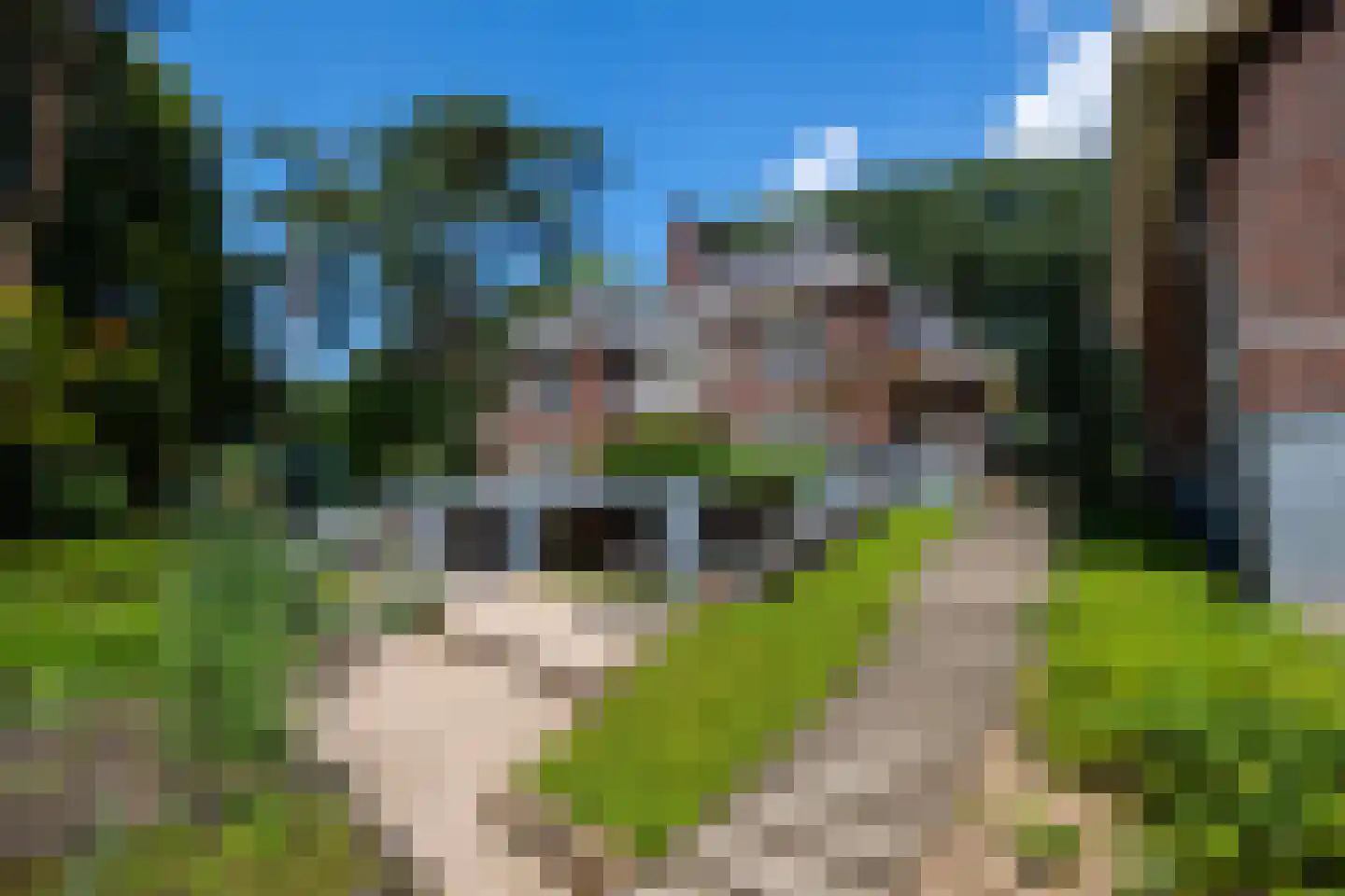 Duinweg 11 Bosch en Duin thumbnail 6