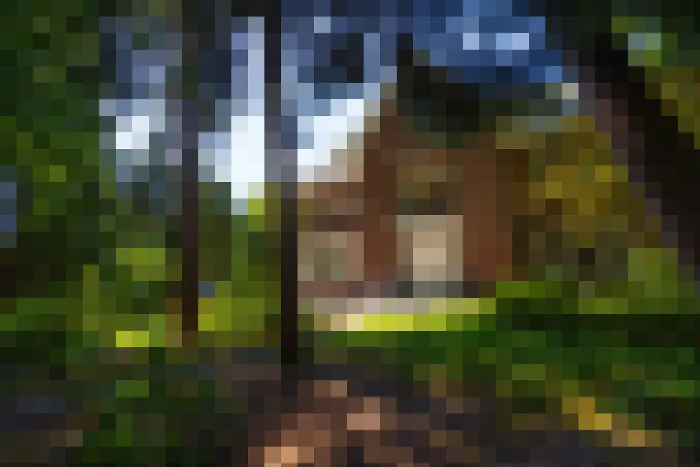 Duinweg 11 Bosch en Duin thumbnail 61