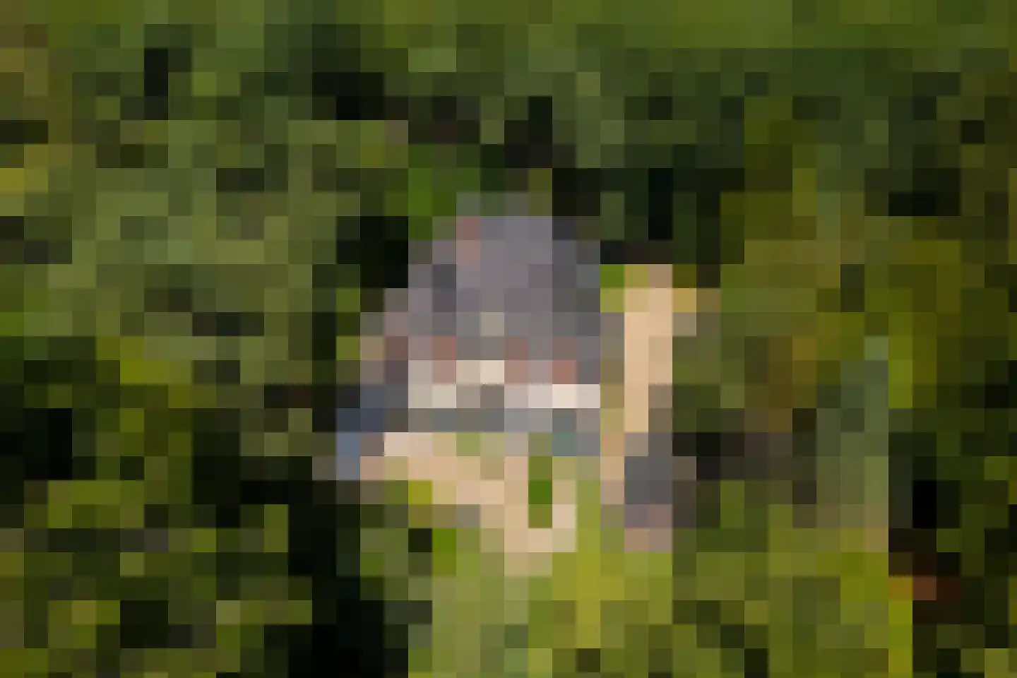 Duinweg 11 Bosch en Duin thumbnail 7