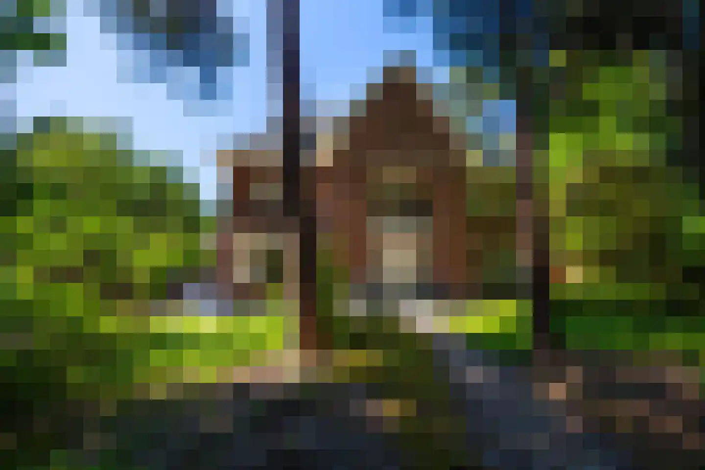 Duinweg 11 Bosch en Duin thumbnail 9