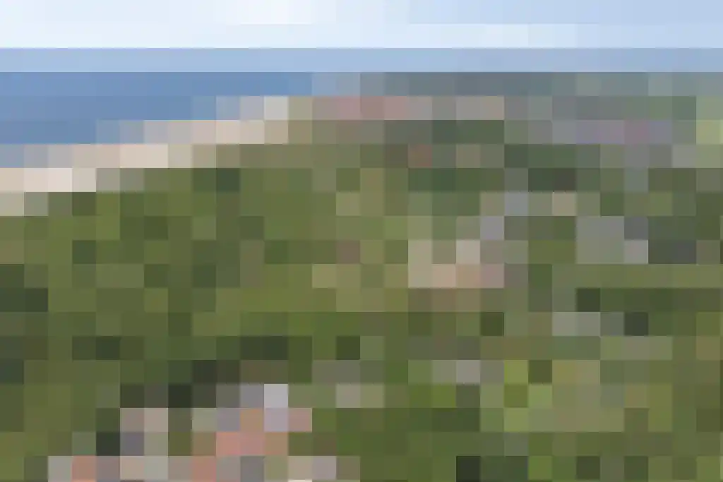 Duinweg 117 L Zoutelande thumbnail 34