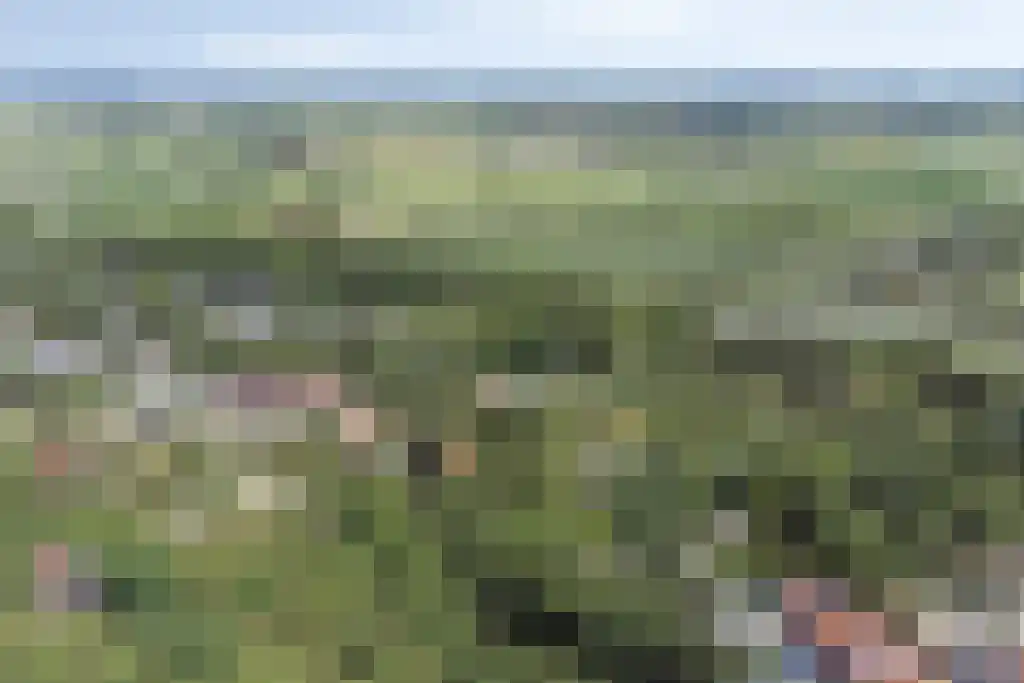 Duinweg 117 L Zoutelande thumbnail 35