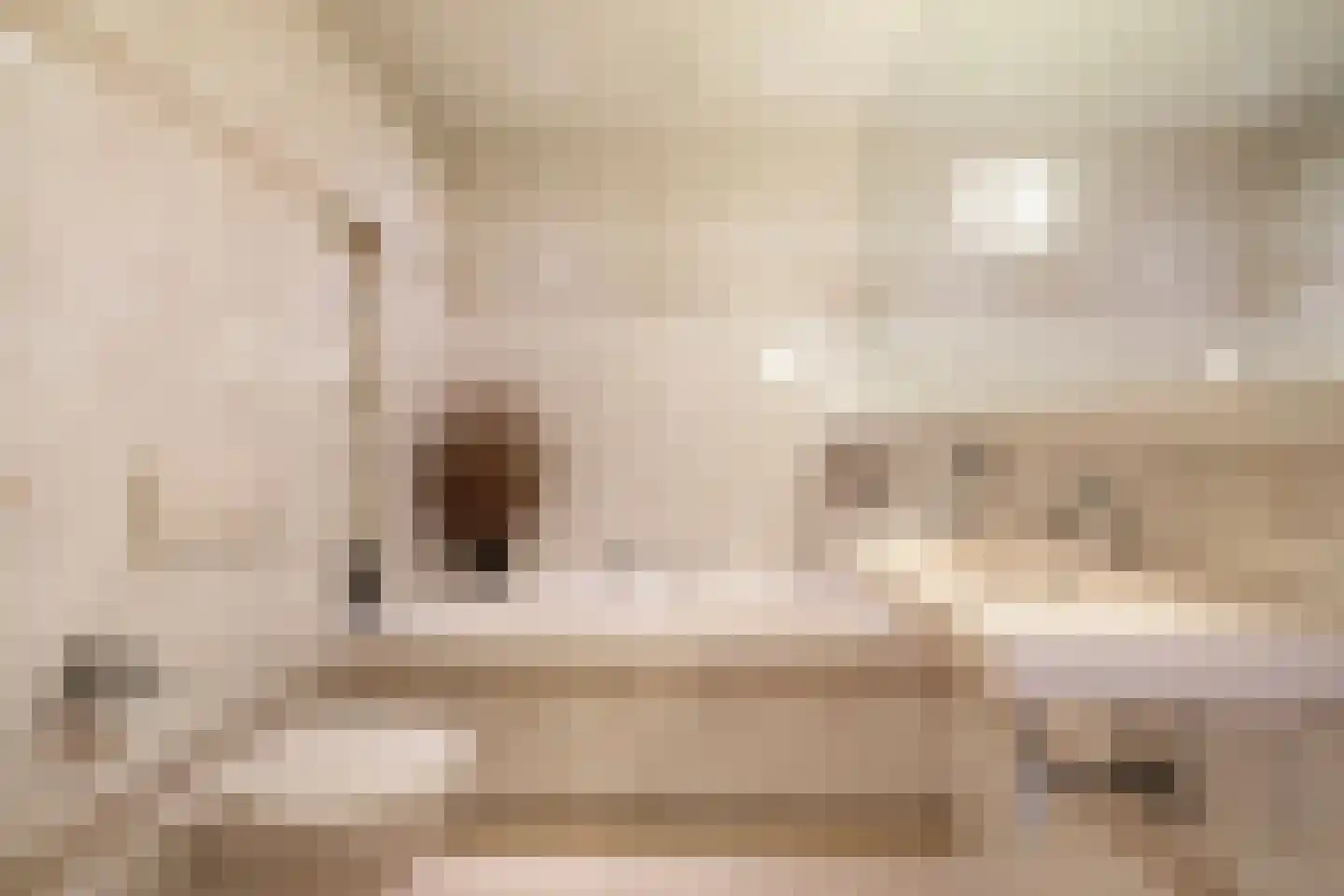 Duinweg 121 B Schoorl thumbnail 16