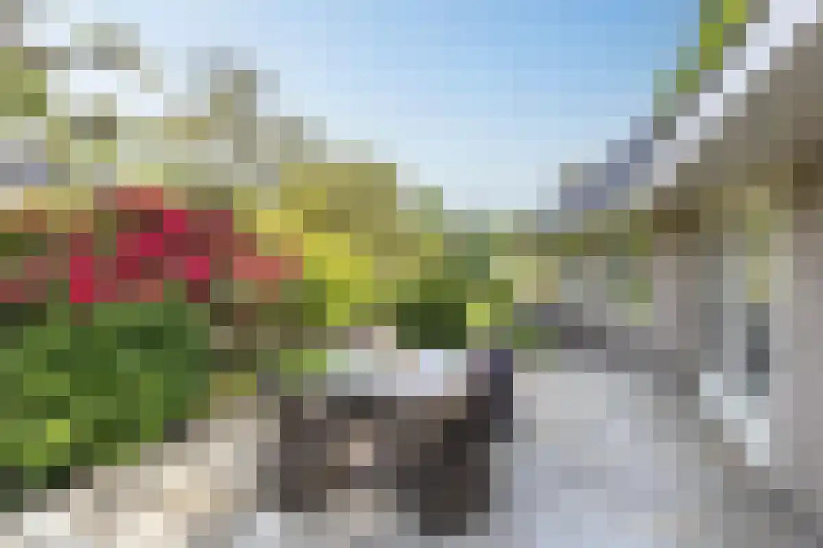 Duinweg 121 B Schoorl thumbnail 26