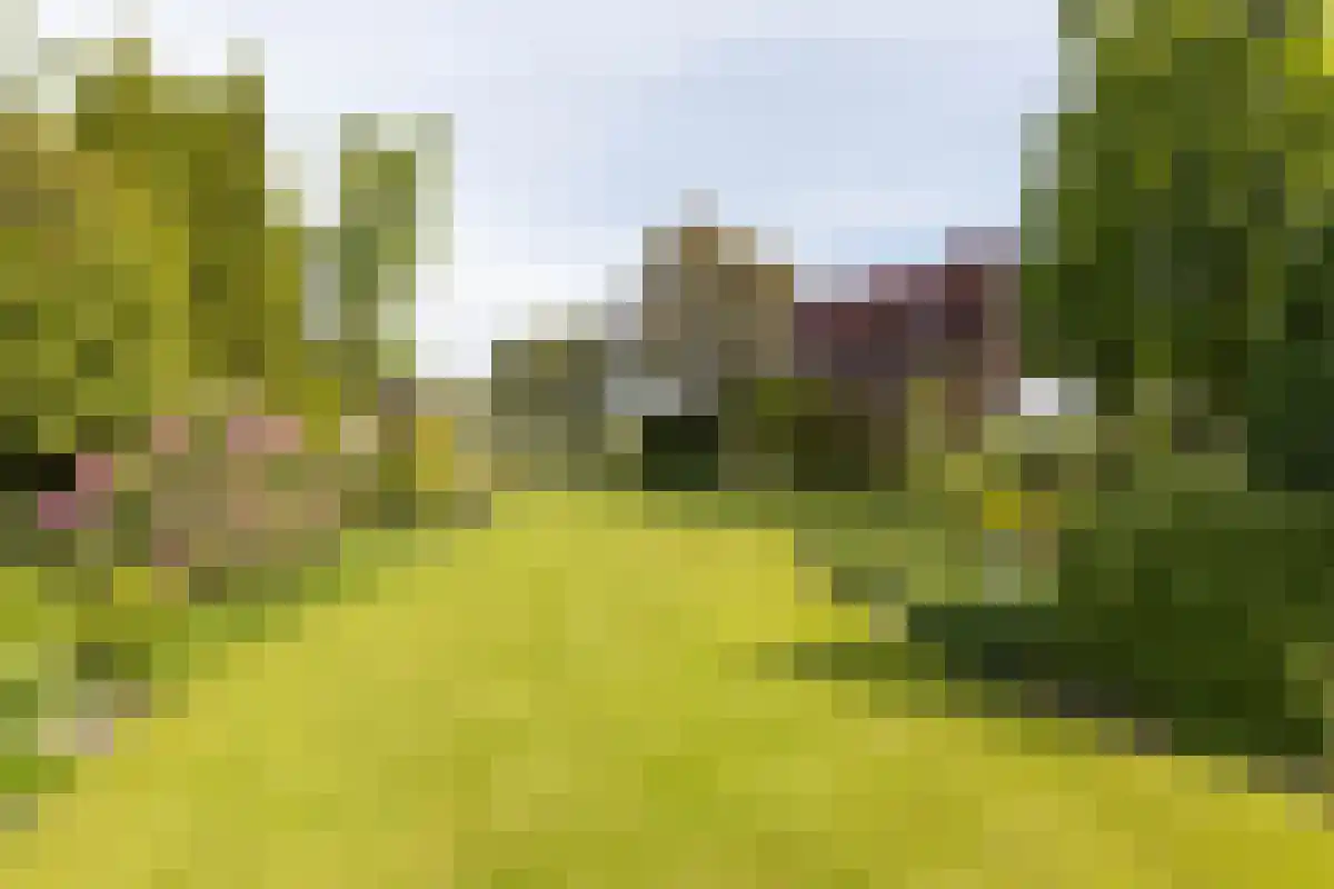 Duinweg 121 B Schoorl thumbnail 27