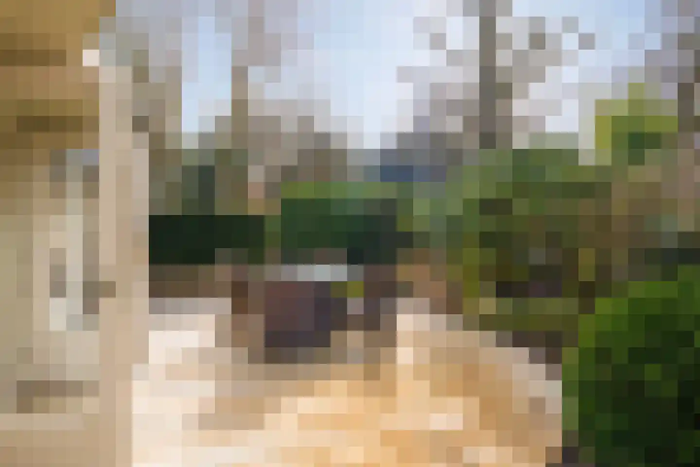 Duinweg 121 B Schoorl thumbnail 27