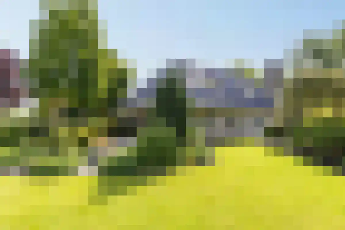 Duinweg 121 B Schoorl thumbnail 28