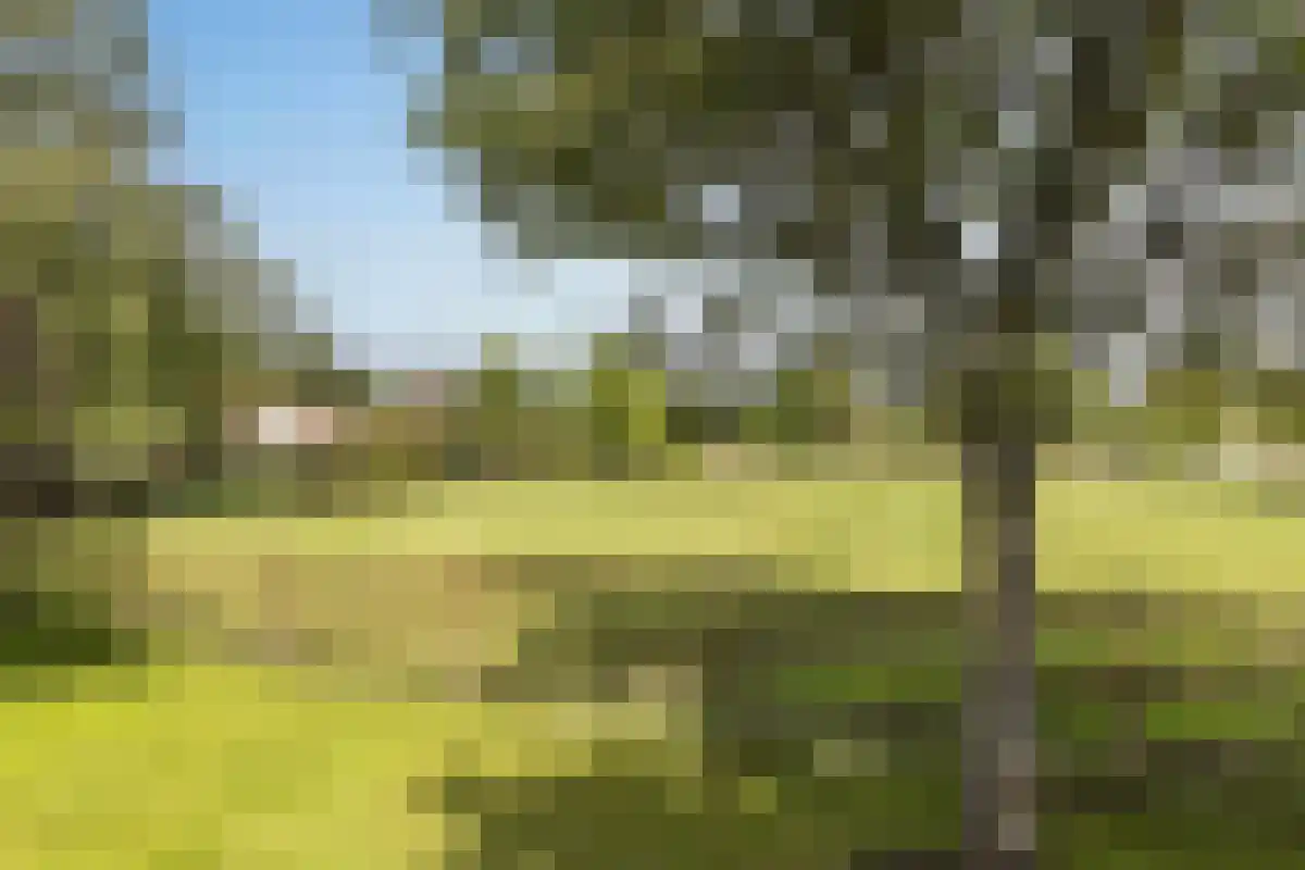 Duinweg 121 B Schoorl thumbnail 29