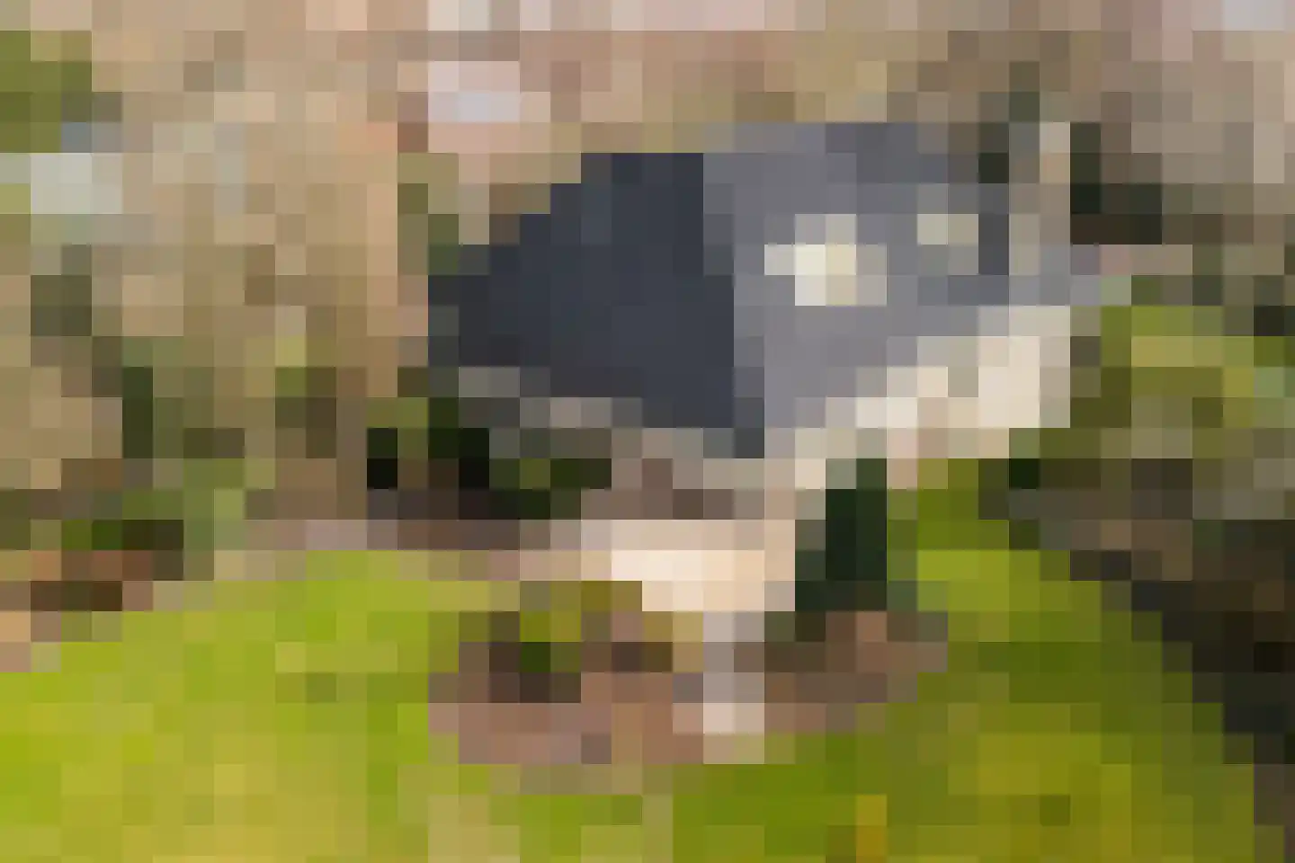 Duinweg 121 B Schoorl thumbnail 32