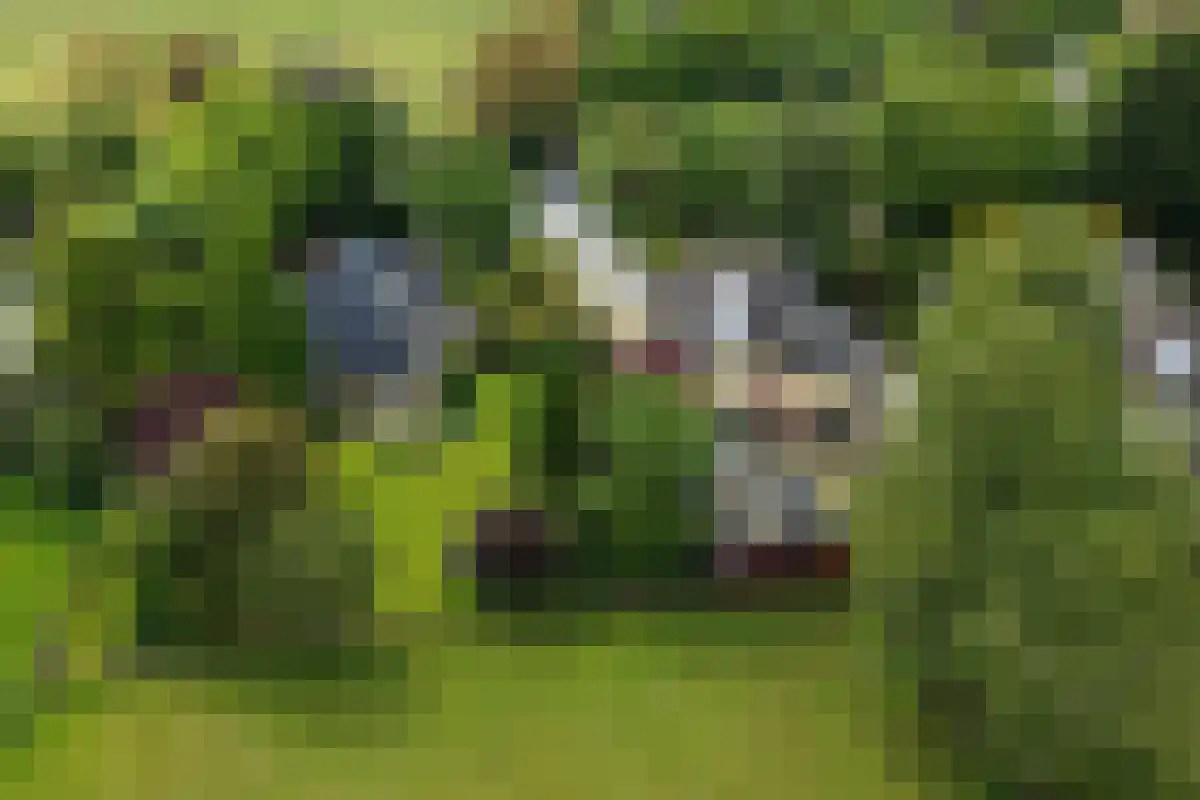 Duinweg 121 B Schoorl thumbnail 34