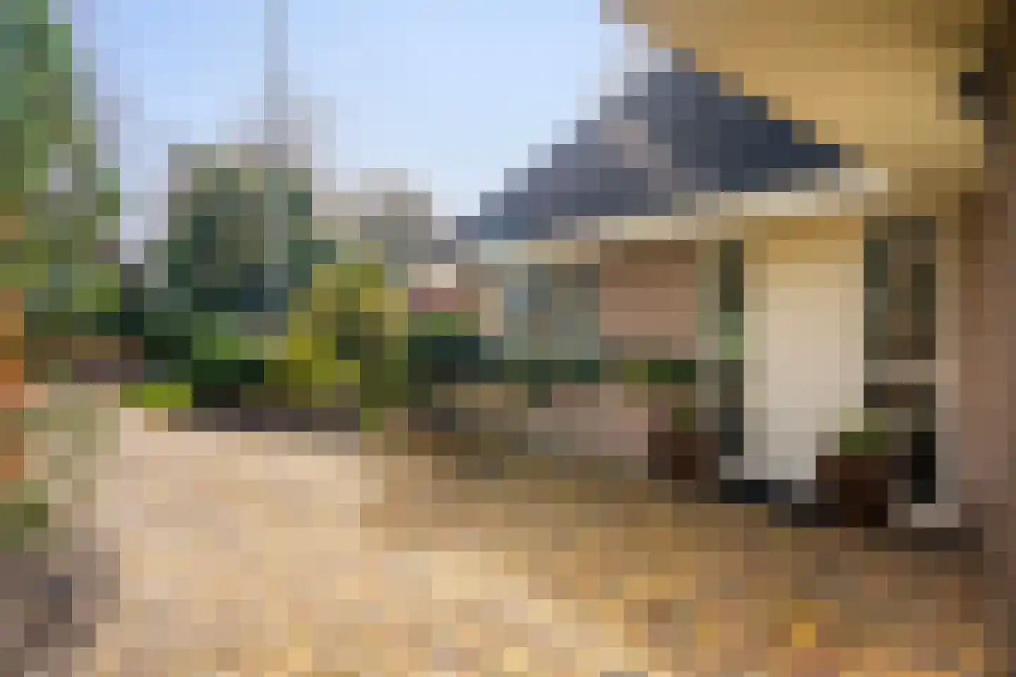 Duinweg 121 B Schoorl thumbnail 34