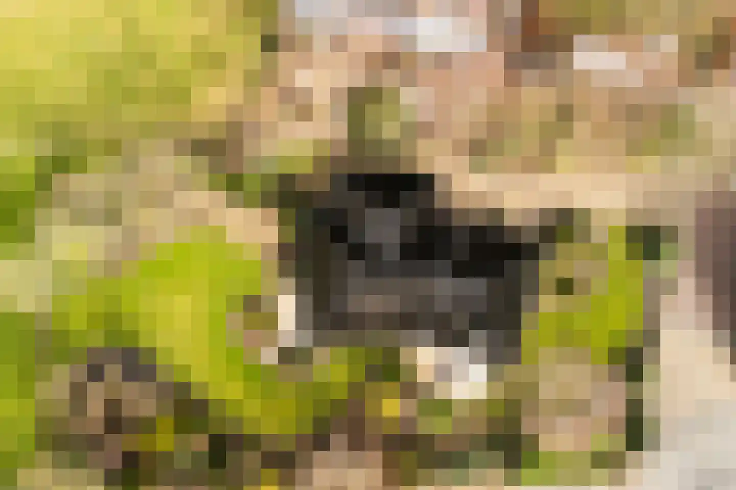 Duinweg 121 B Schoorl thumbnail 36