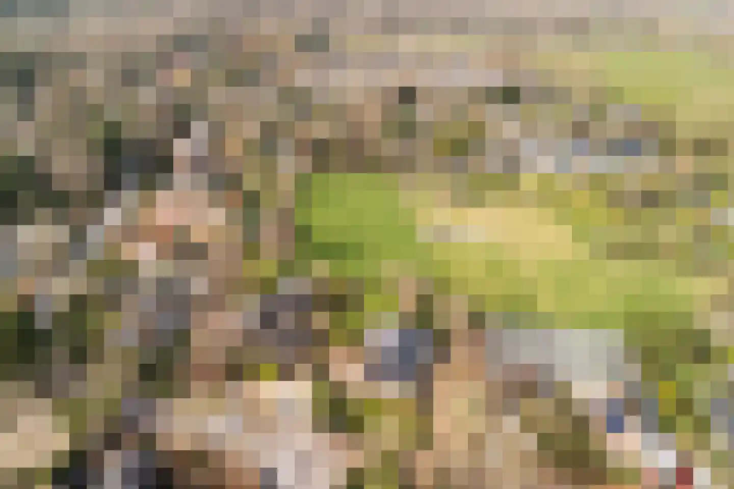 Duinweg 121 B Schoorl thumbnail 38