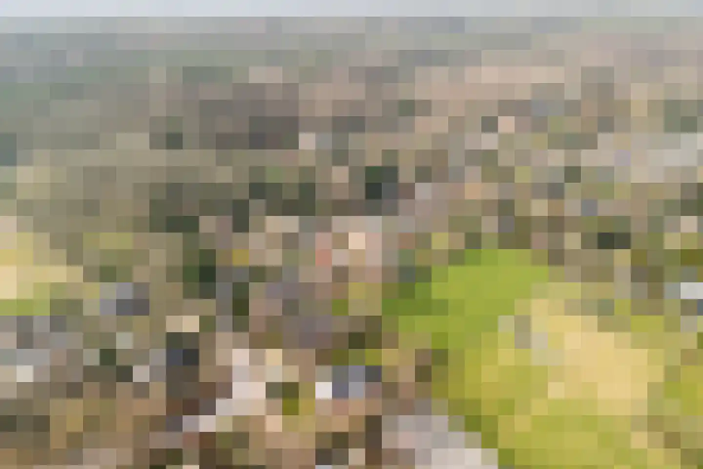 Duinweg 121 B Schoorl thumbnail 39