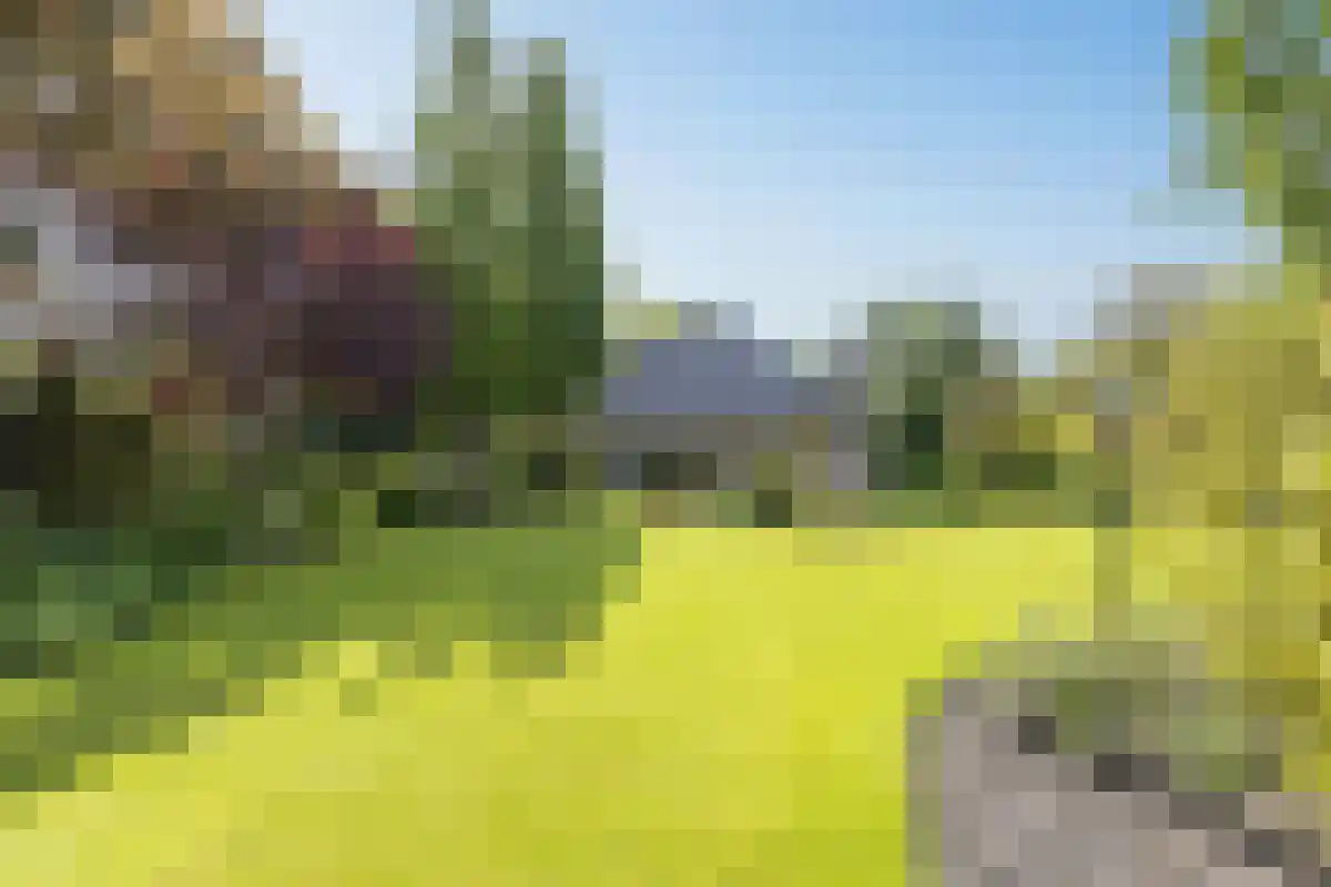 Duinweg 121 B Schoorl thumbnail 4