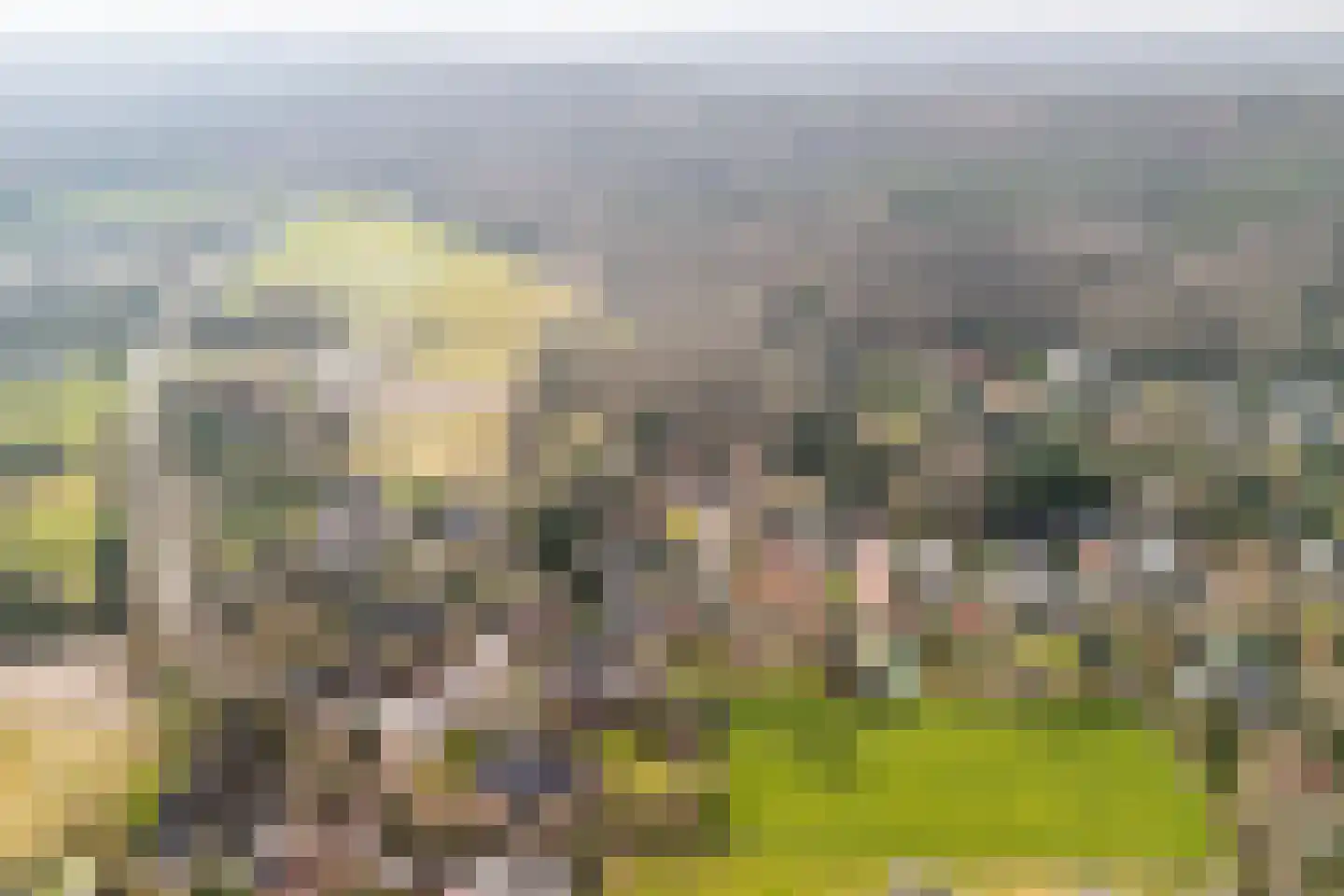 Duinweg 121 B Schoorl thumbnail 42