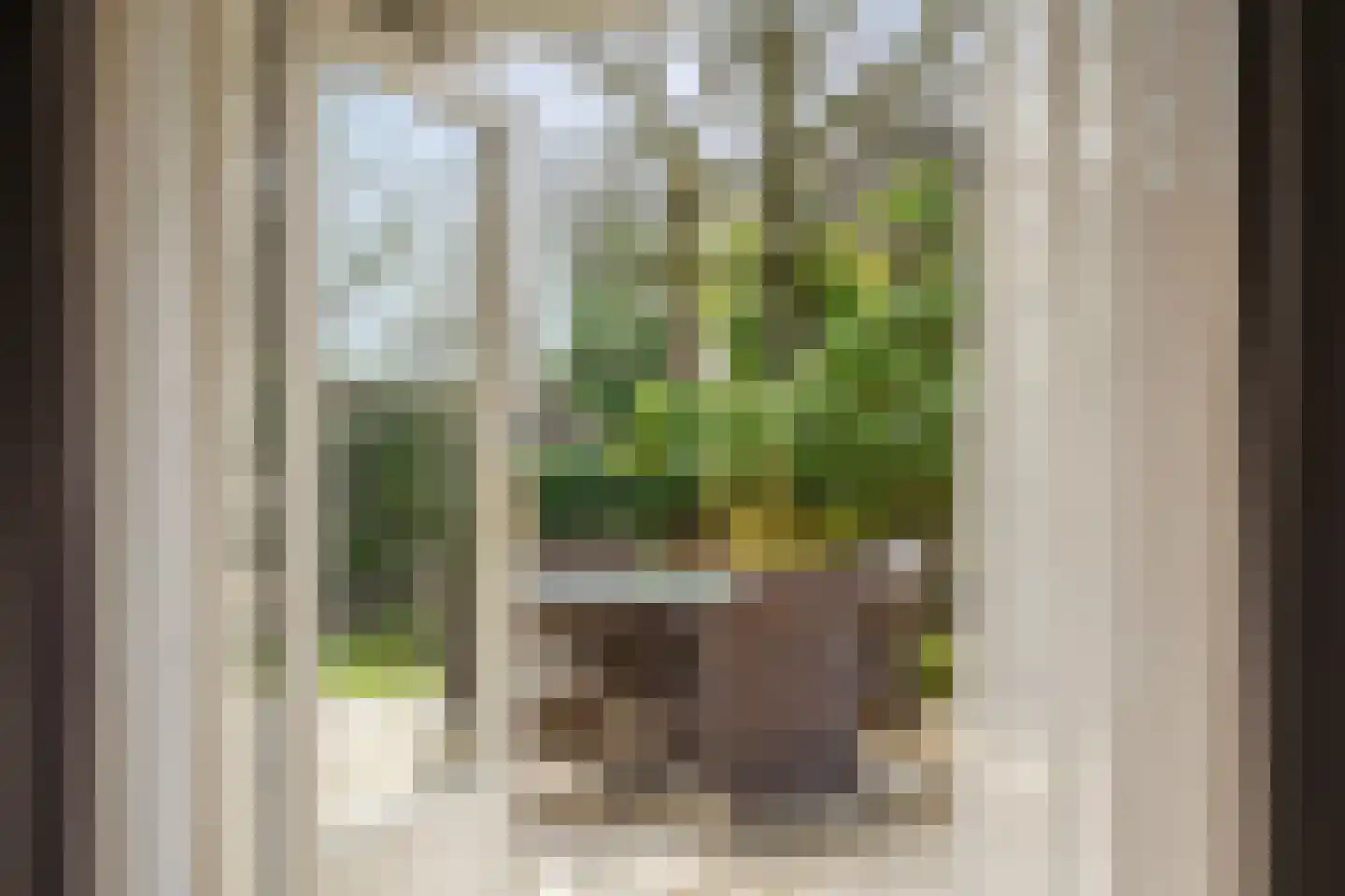 Duinweg 121 B Schoorl thumbnail 9
