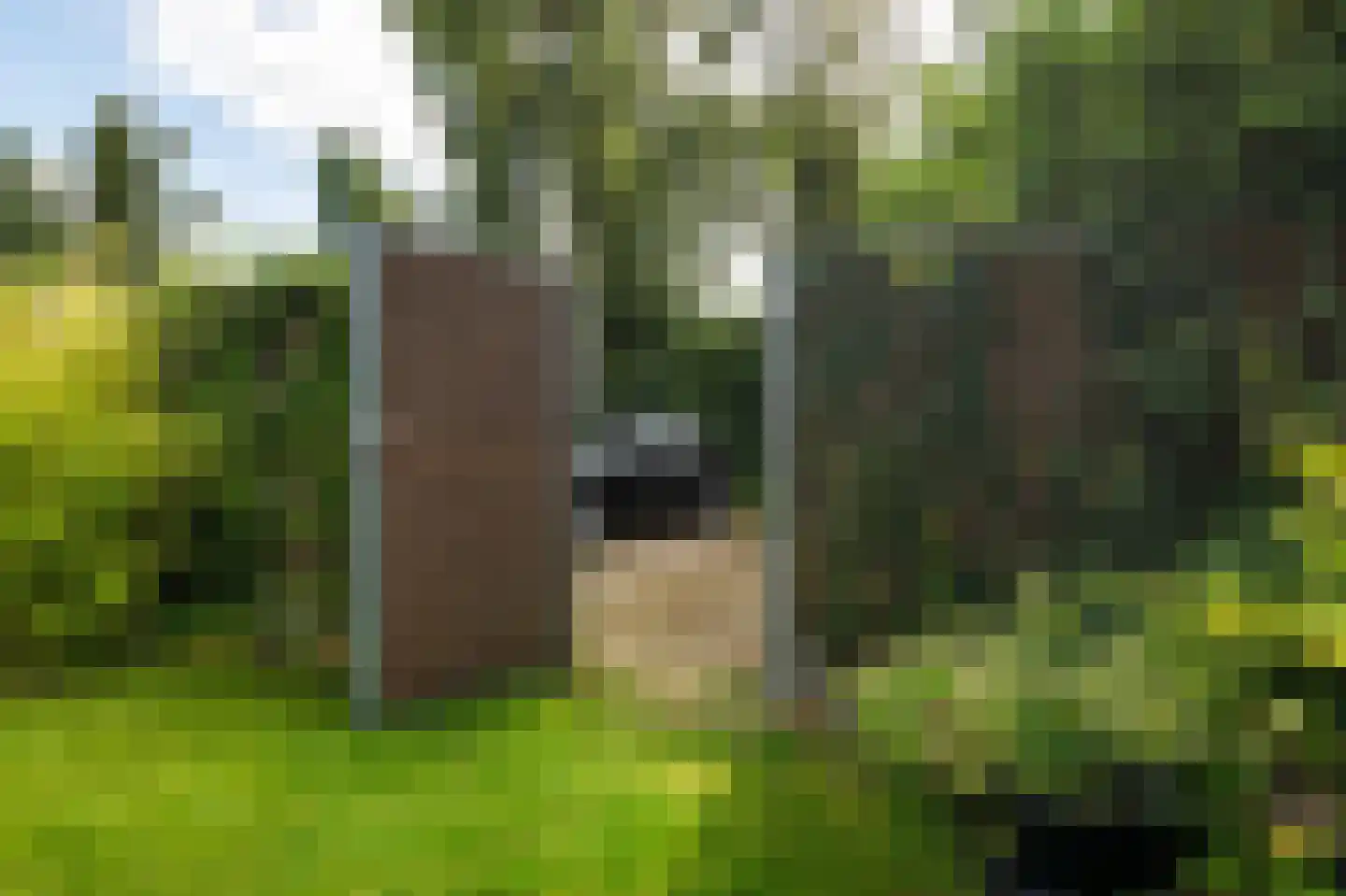 Duinweg 121 Noordwijk thumbnail 26