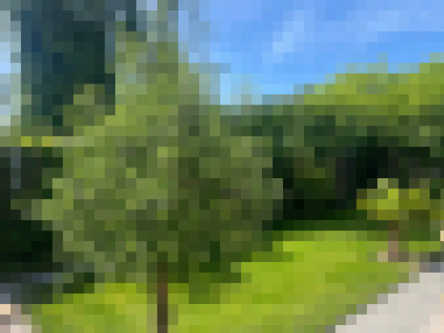 Duinweg 121 Noordwijk thumbnail 4