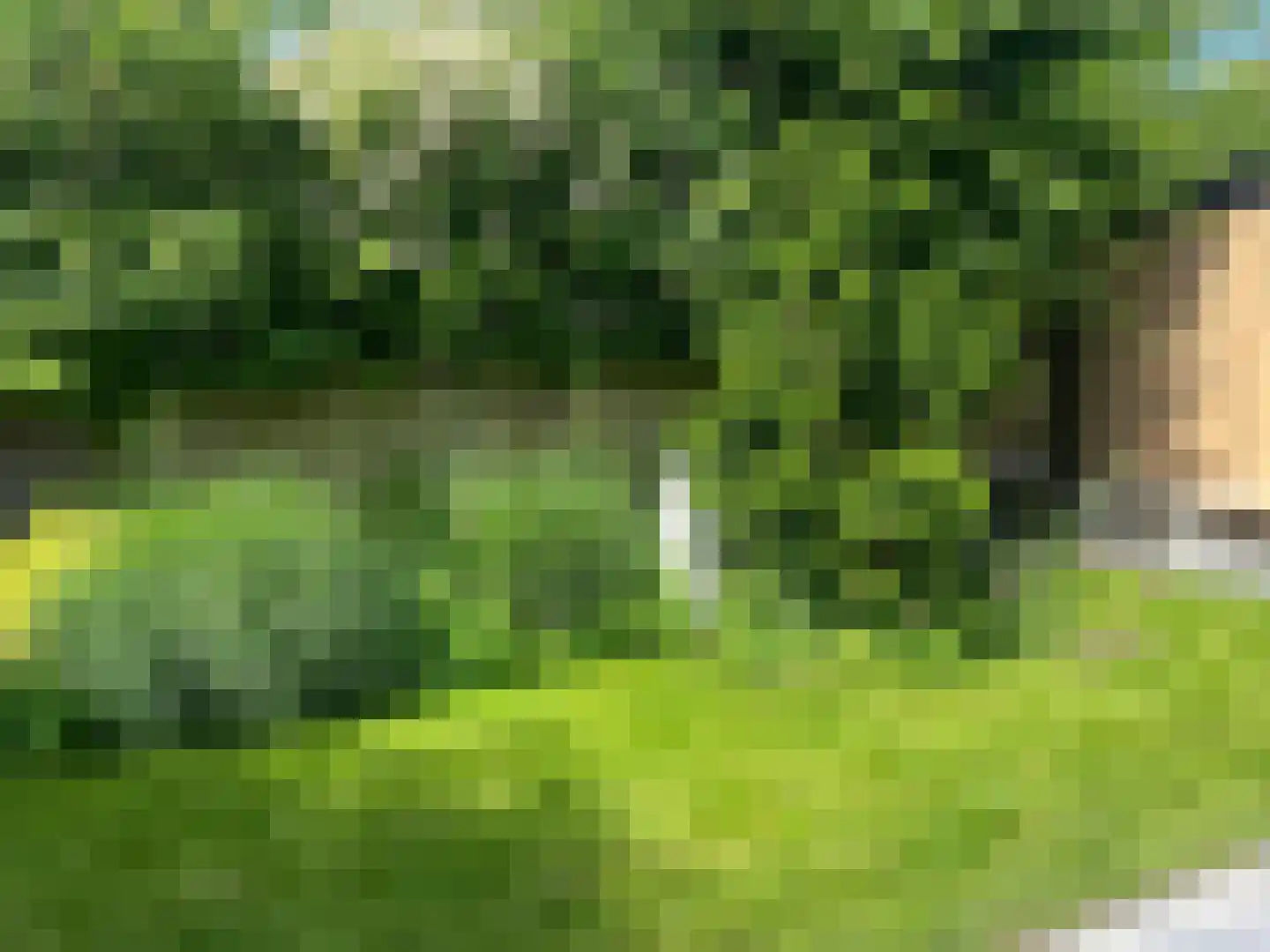 Duinweg 121 Noordwijk thumbnail 6