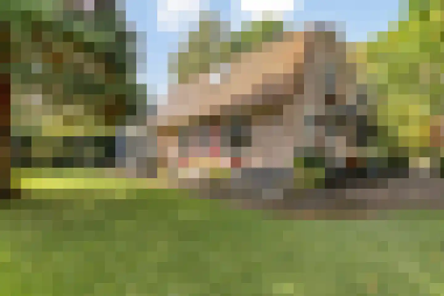 Duinweg 135 Noordwijk thumbnail 12