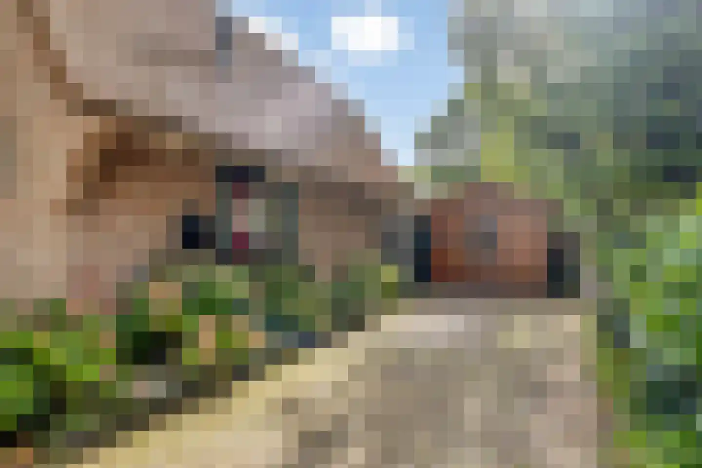 Duinweg 135 Noordwijk thumbnail 13
