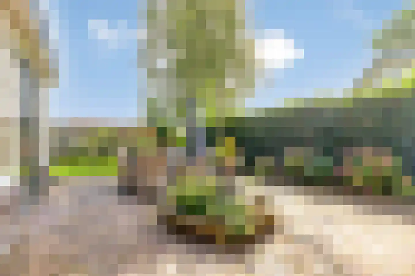 Duinweg 135 Noordwijk thumbnail 32