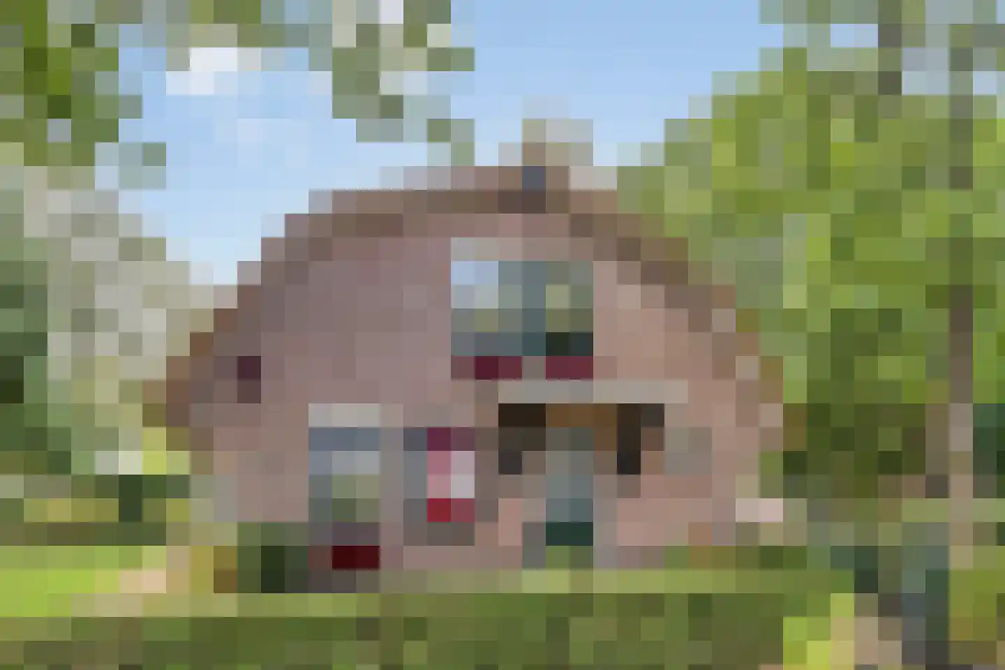 Duinweg 135 Noordwijk thumbnail 37